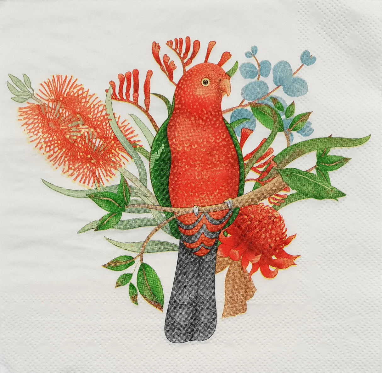 Decoupage Napkin - (DN-8070) - King-Parrot - Set of 5