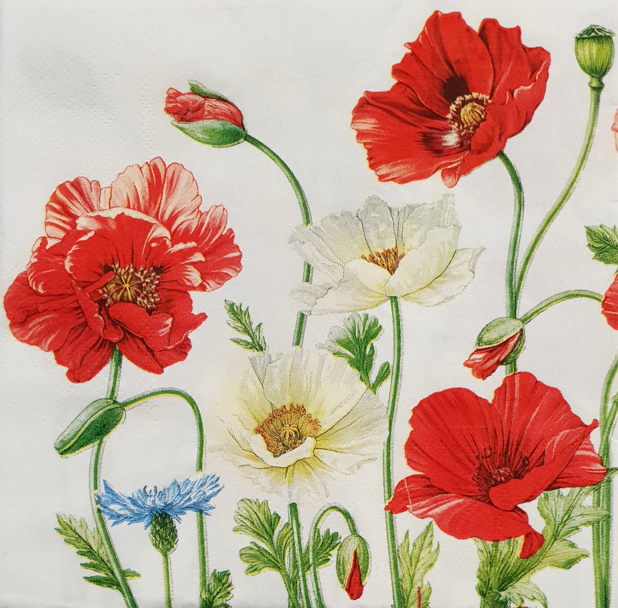 Decoupage Napkin - (DN-8071) - Friendly Flowers