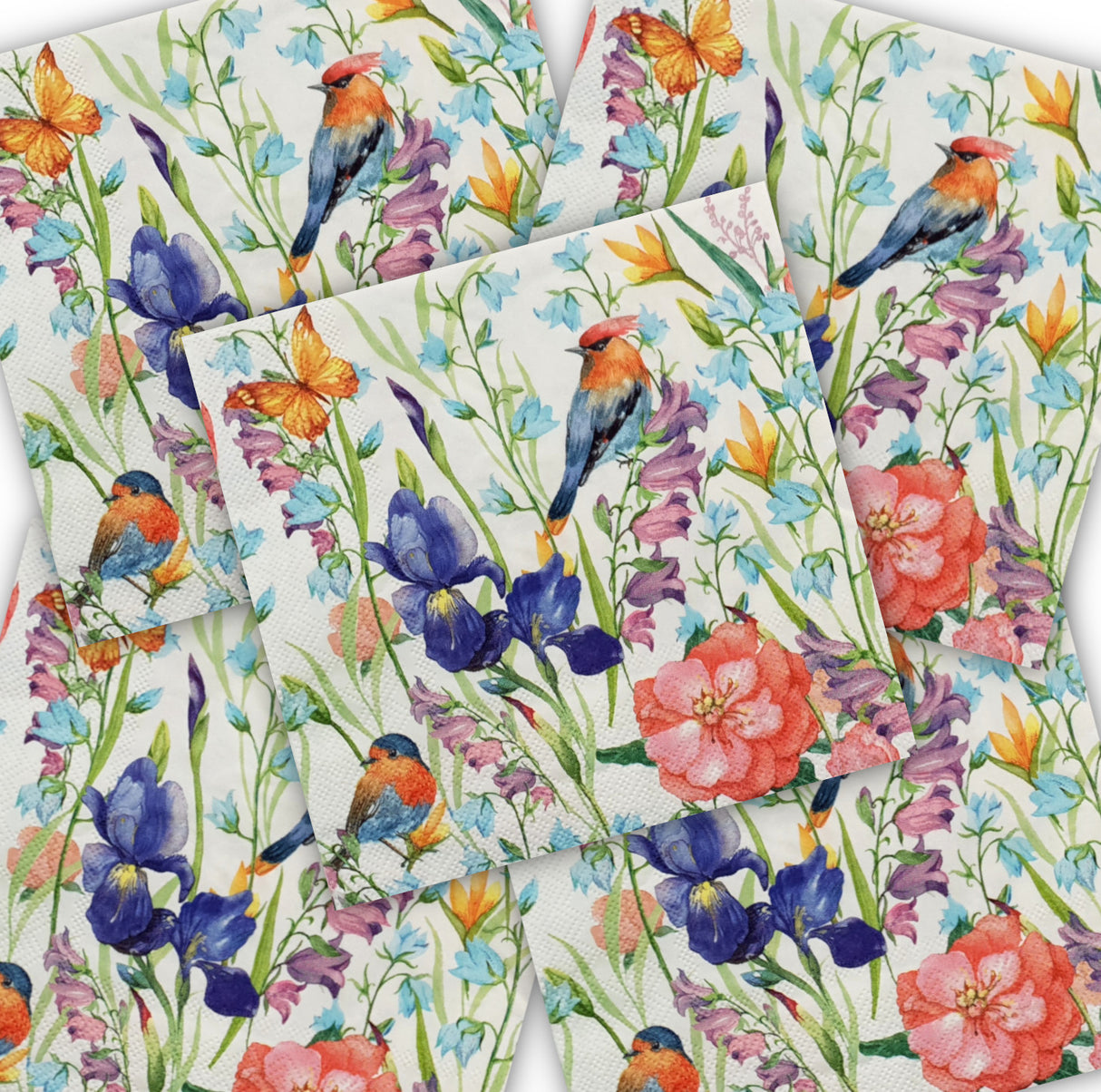 Decoupage Napkin - (DN-8076) - Wild Garden - Set of 5