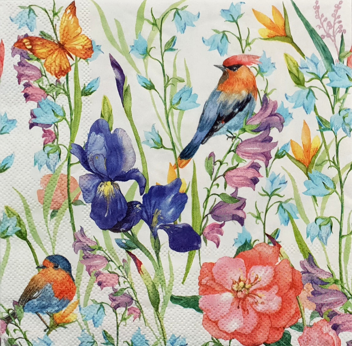 Decoupage Napkin - (DN-8076) - Wild Garden - Set of 5