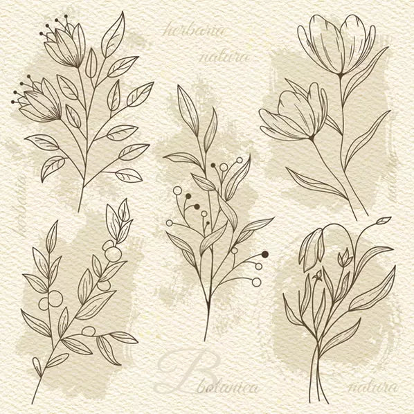 Decoupage Napkin - (DN-8111) - Beige Flower Illustration - Set of 5