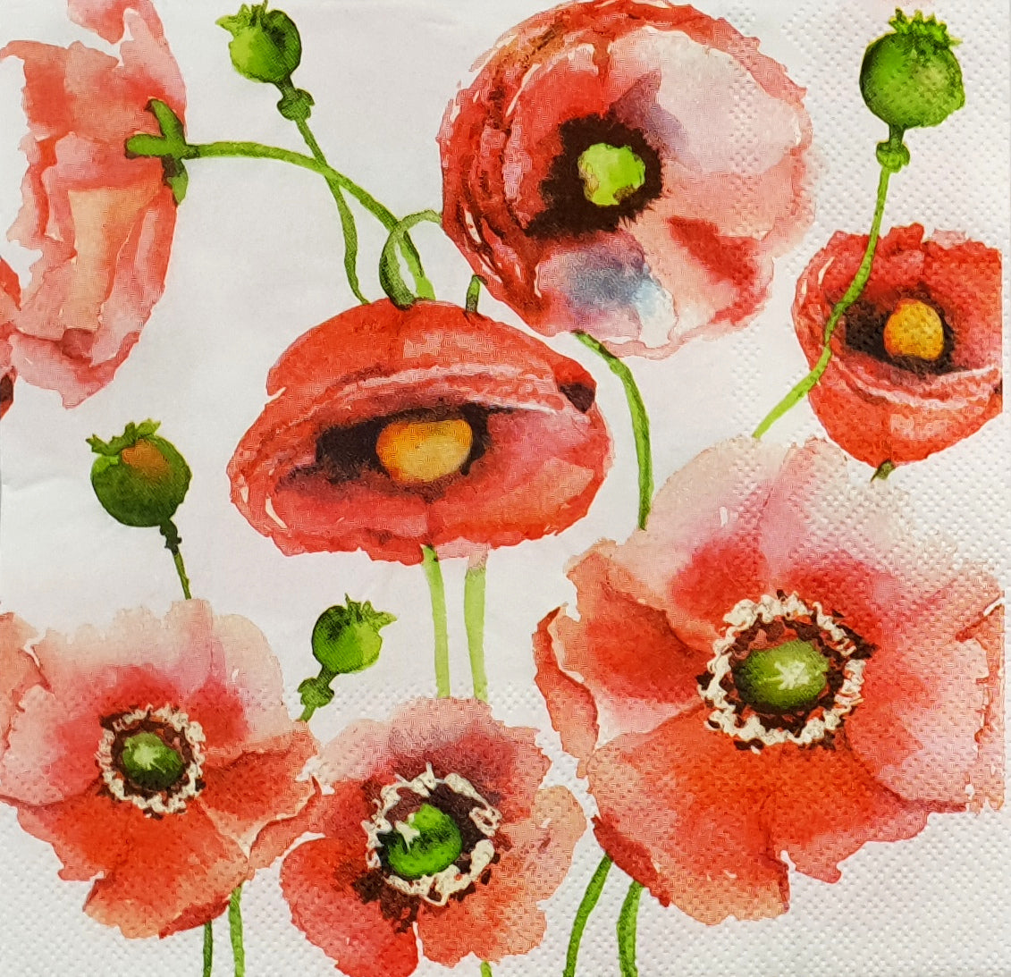 Decoupage Napkin - (DN-8139) - Poppies - Set of 5