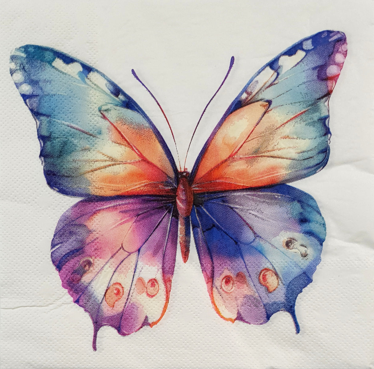 Decoupage Napkin - (DN-8147) - Big Butterfly - Set of 5