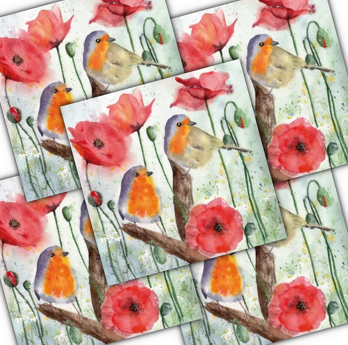 Decoupage Napkin - (DN-8148) - Red Robin & Poppy - Set of 5