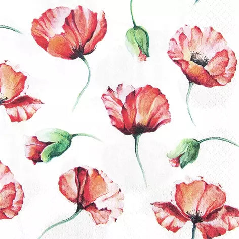 Decoupage Napkin - (DN-8161) - Poppy Drawing - Set of 5