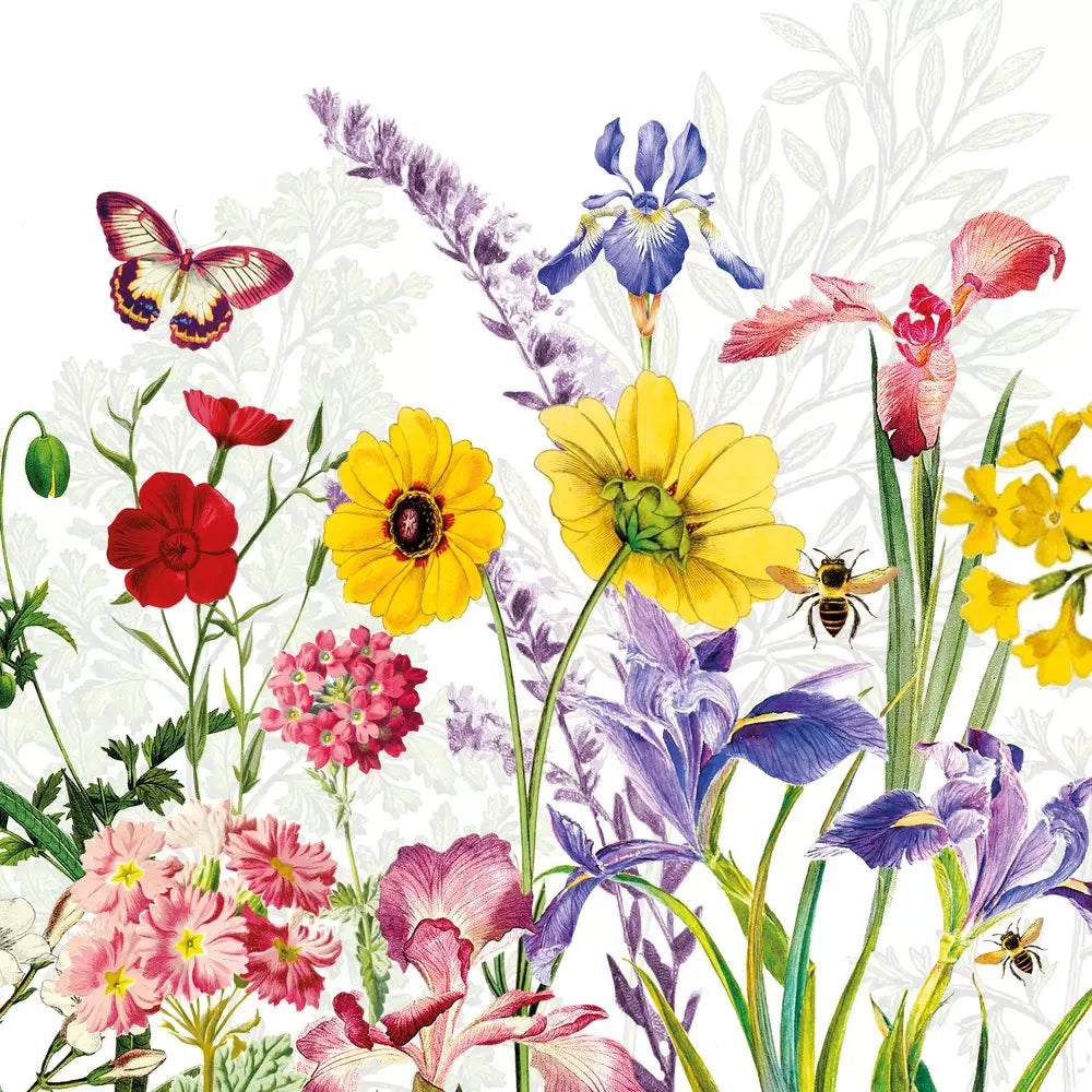 Decoupage Napkin - (DN-8170) - Imagination - Set of 5