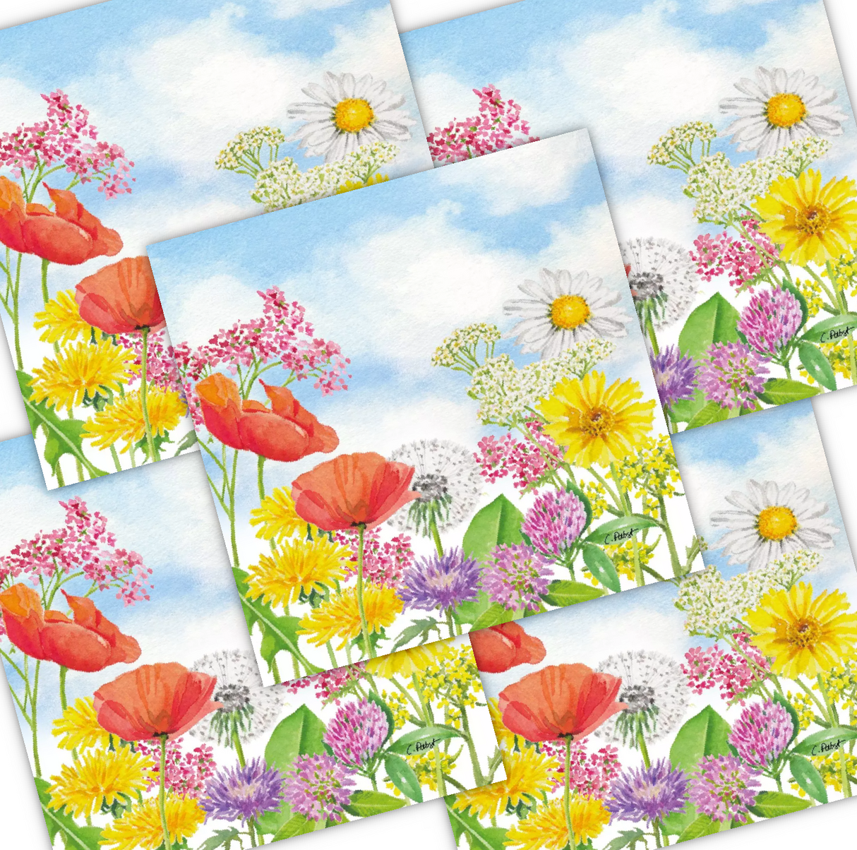 Decoupage Napkin - (DN-8173) - Summer Day - Set of 5