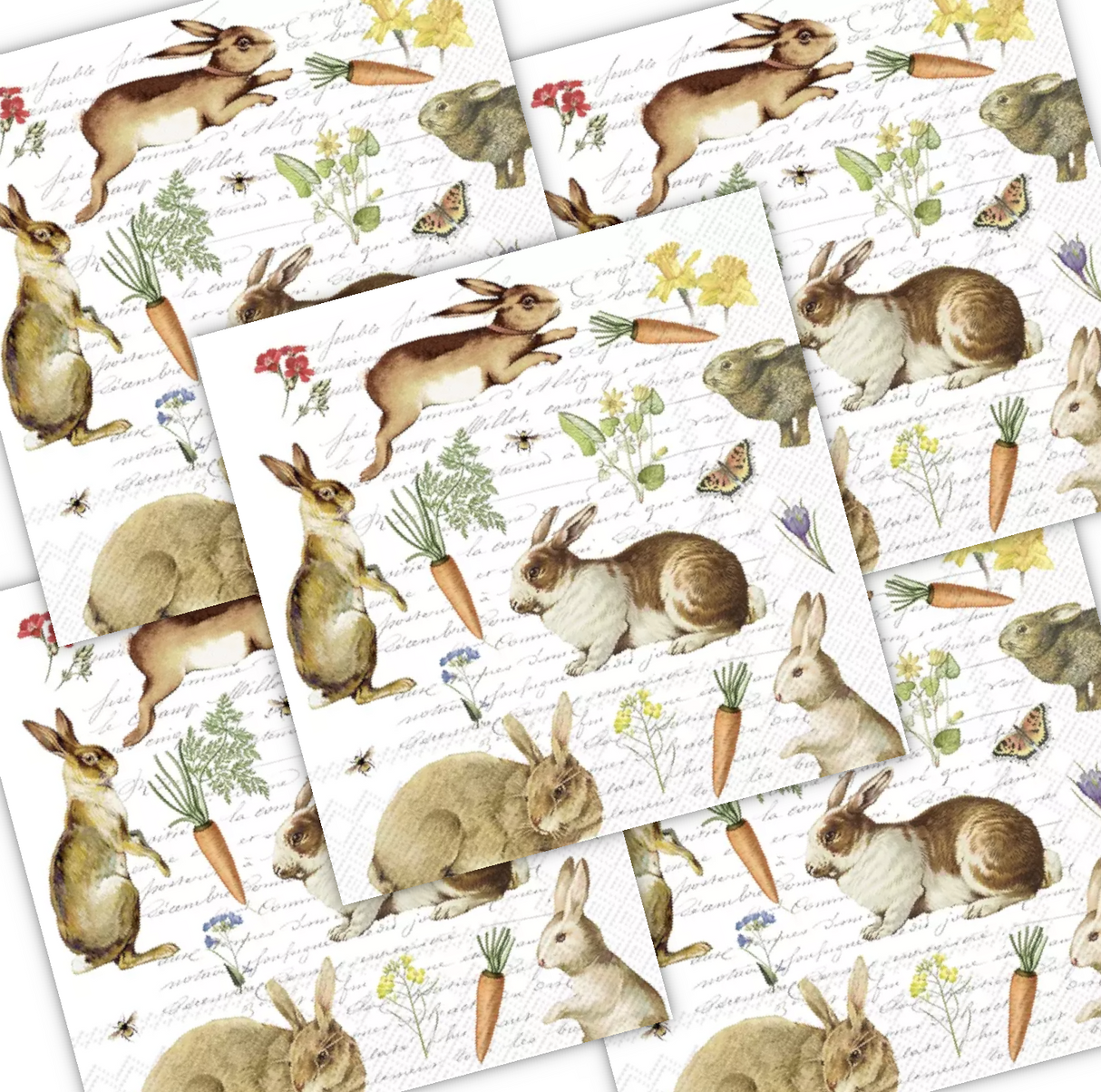Decoupage Napkin - (DN-8212) - Hare Hunt - Set of 5