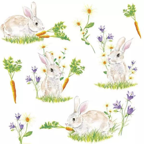 Decoupage Napkin - (DN-8216) - Bunnies with Carrots - Set of 5