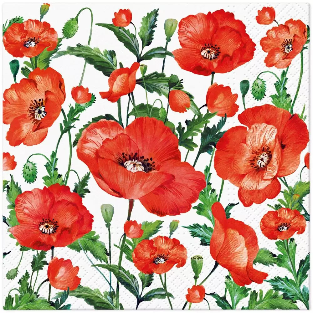Decoupage Napkin - (DN-8241) - Flanders Poppy - Set of 5