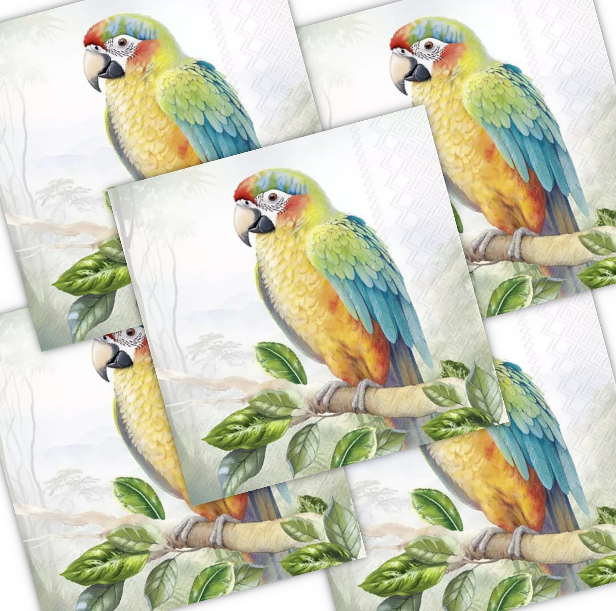 Decoupage Napkin - (DN-8251) - Exotic Parrot - Set of 5