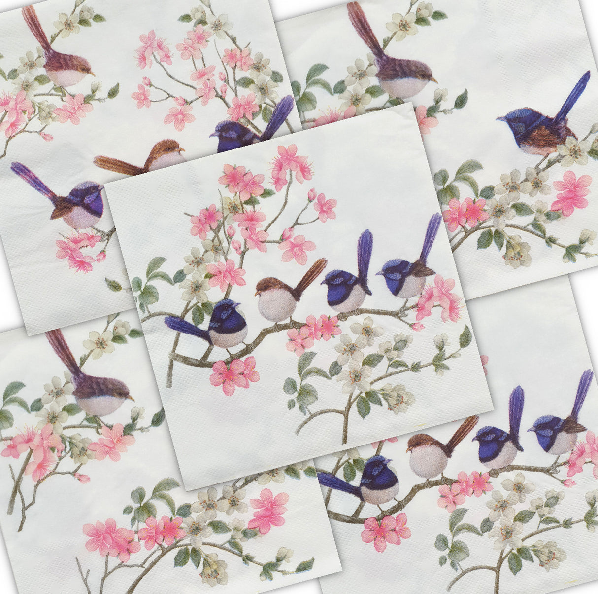 Decoupage Napkin - (DN-8275) - Birds - Set of 5