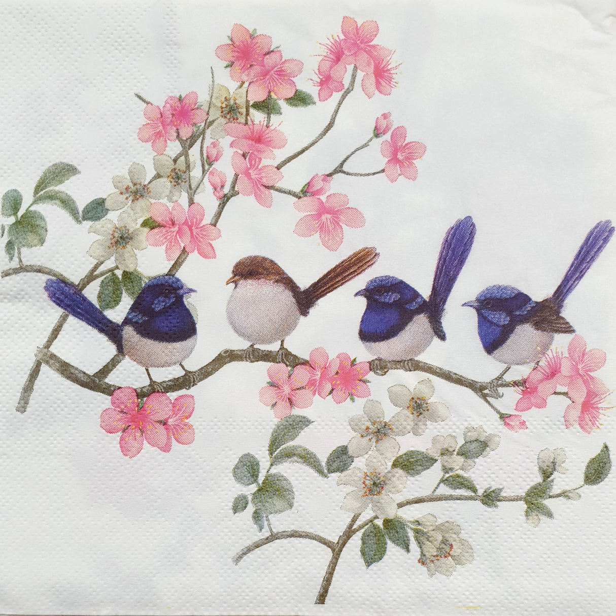 Decoupage Napkin - (DN-8275) - Birds - Set of 5