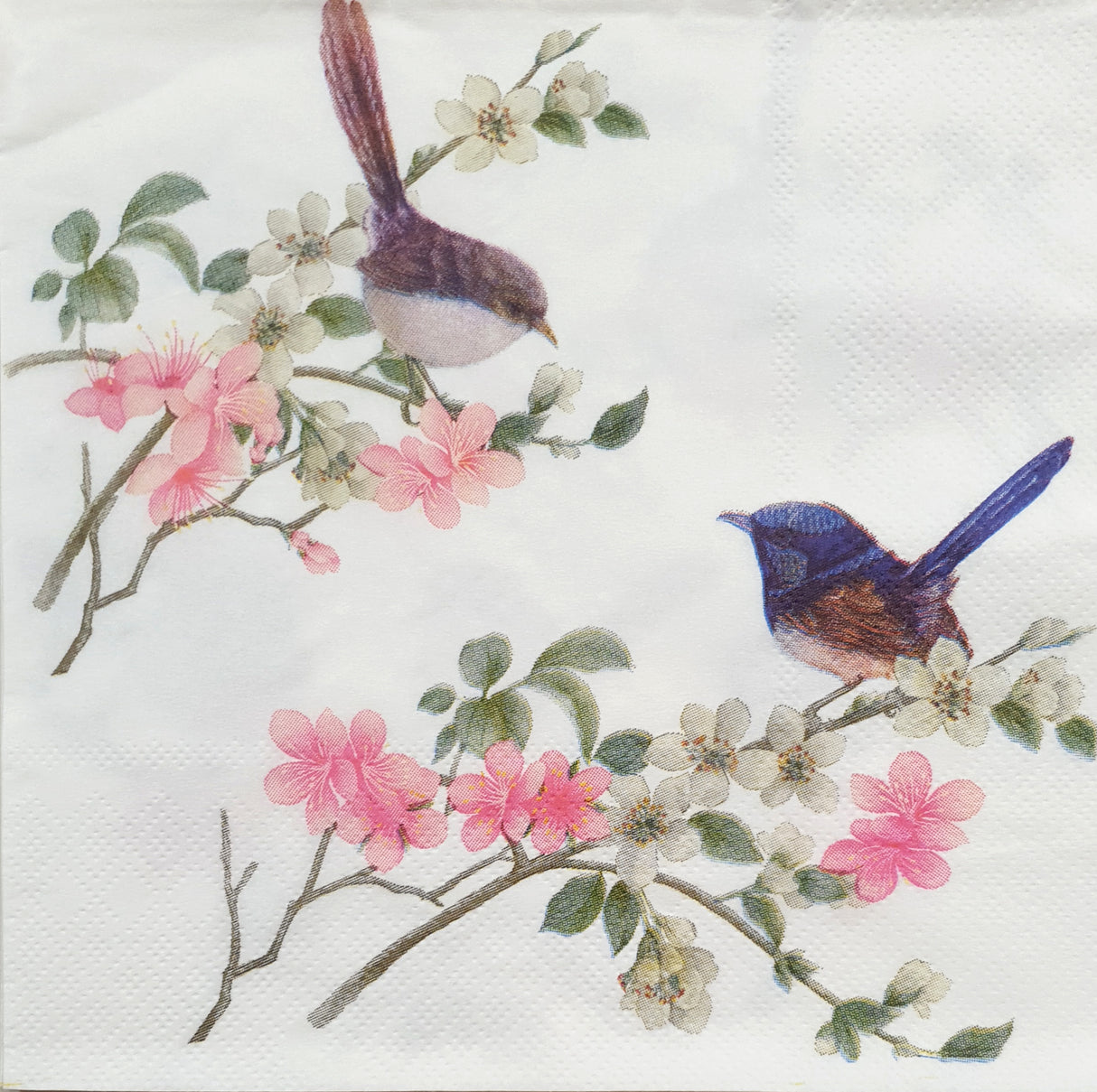 Decoupage Napkin - (DN-8275) - Birds - Set of 5