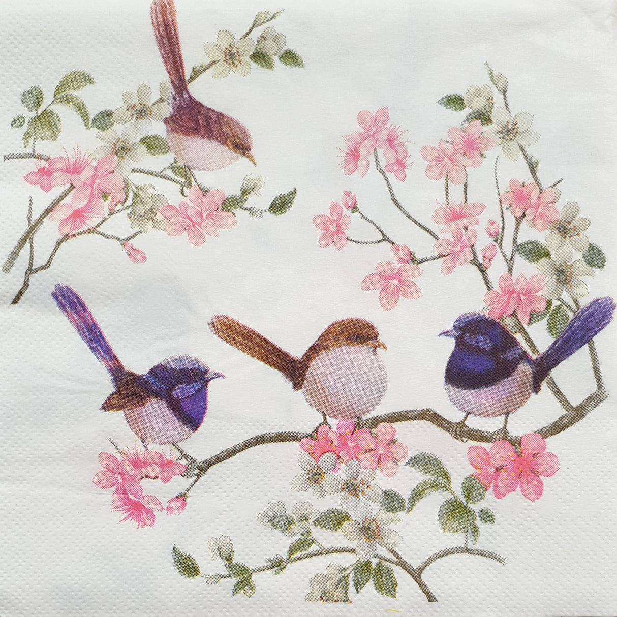 Decoupage Napkin - (DN-8275) - Birds - Set of 5