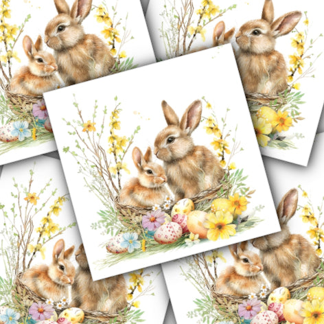 Decoupage Napkin - (DN-8466) - Bunnies in a Basket - Set of 5