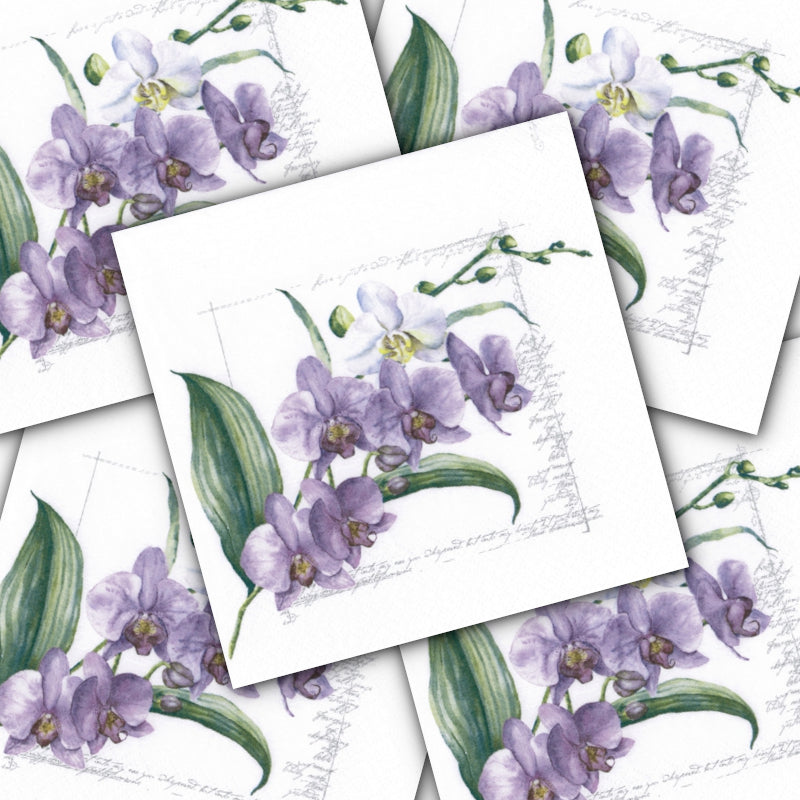 Decoupage Napkin - (DN-8467) - Orchidée lilac - Set of 5