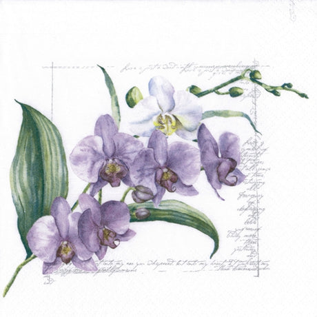 Decoupage Napkin - (DN-8467) - Orchidée lilac - Set of 5