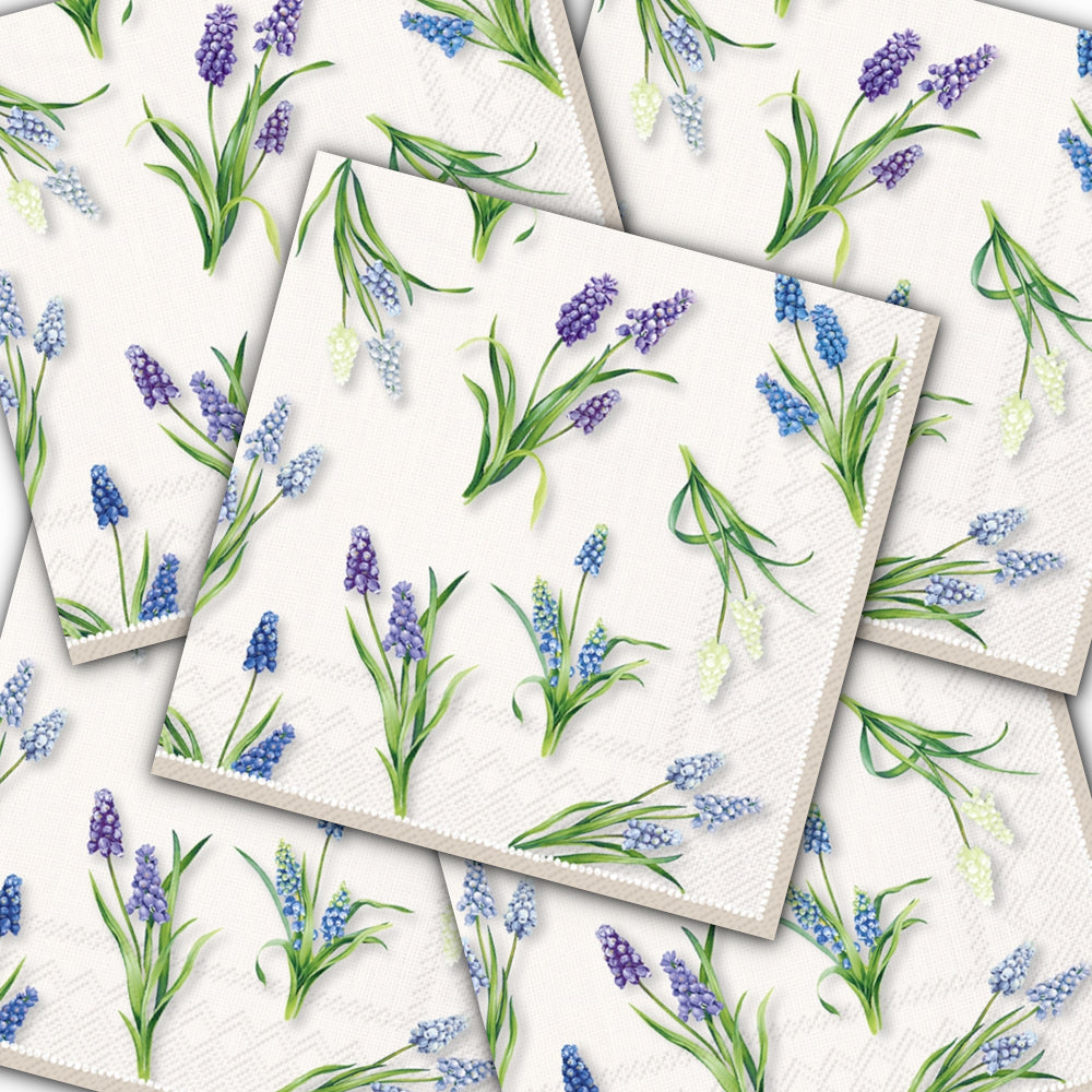 Decoupage Napkin - (DN-8496) - Spring Muscari - Cream - Set of 5