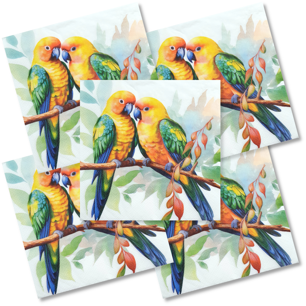 Decoupage Napkin - (DN-8512) - Birds - Set of 5