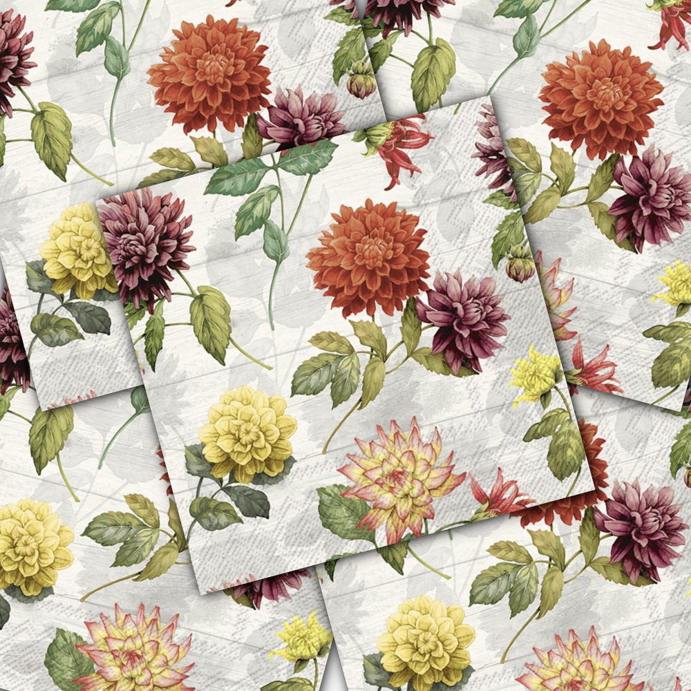Decoupage Napkin - (DN-8525) - Gemma - Cream - Set of 5