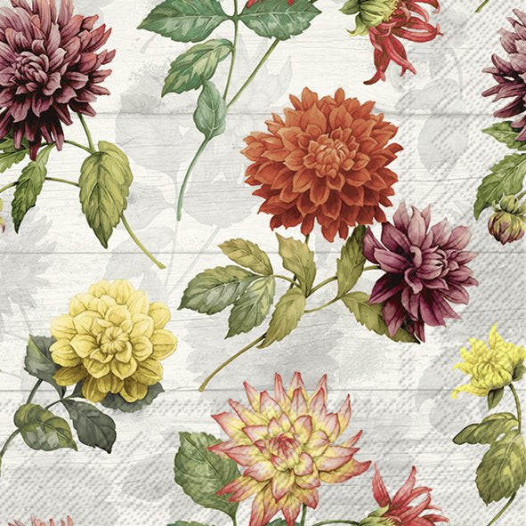 Decoupage Napkin - (DN-8525) - Gemma - Cream - Set of 5