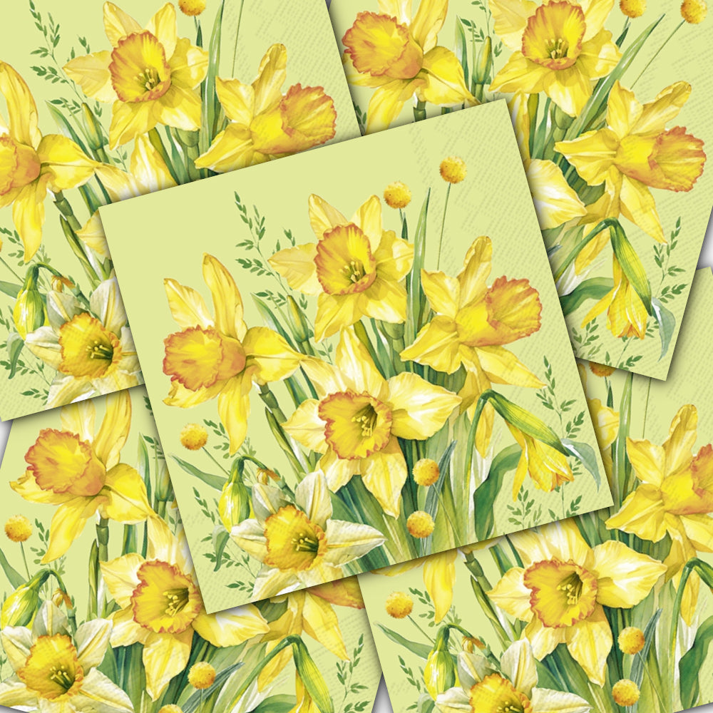 Decoupage Napkin - (DN-8536) - Narcissus Bouquet - Green - Set of 5
