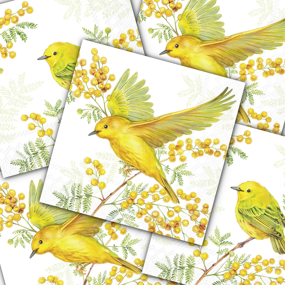 Decoupage Napkin - (DN-8537) - Joy of Spring - Light Green - Set of 5