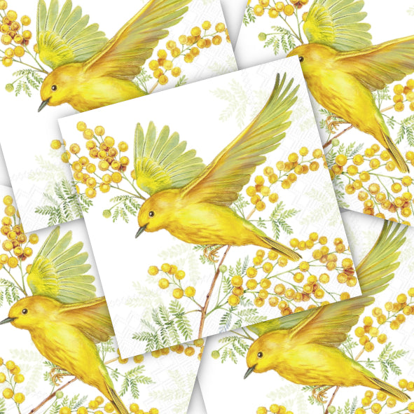 Decoupage Napkin - (DN-8792) - Joy of Spring - Light Green - Cocktail - Set of 5