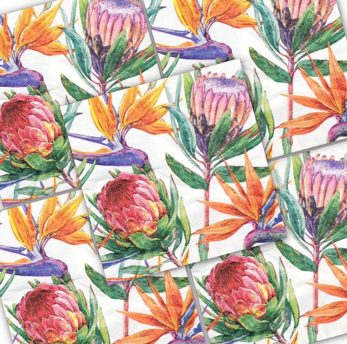 Decoupage Napkin - (DN-8954) - Paradise - Set of 5