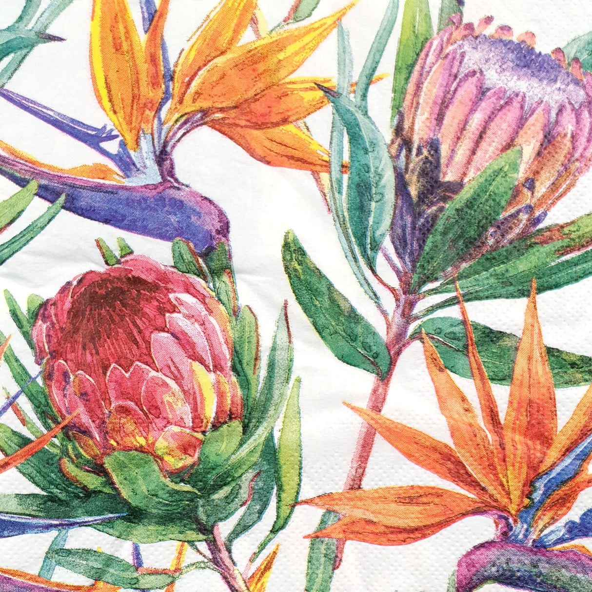 Decoupage Napkin - (DN-8954) - Paradise - Set of 5