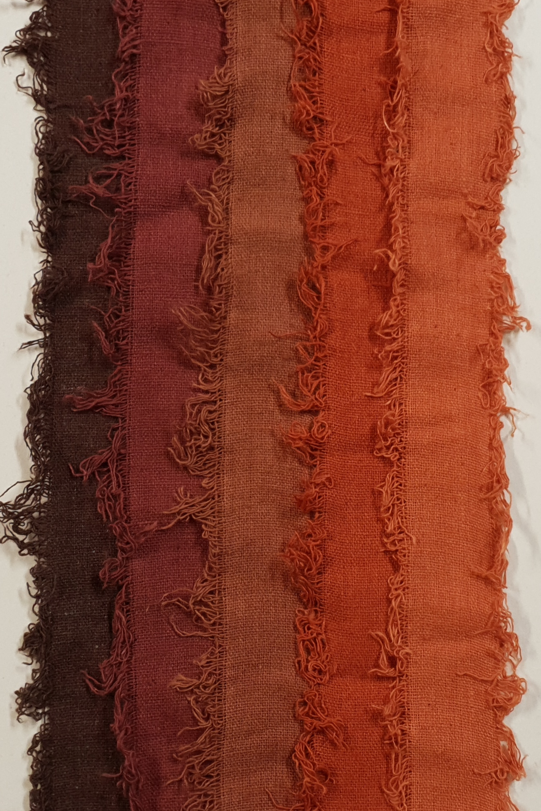 Assorted Cotton Cake Pack - 3010