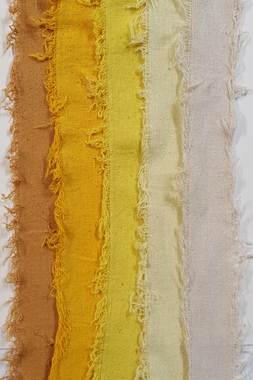 Assorted Cotton Cake Pack - 3015