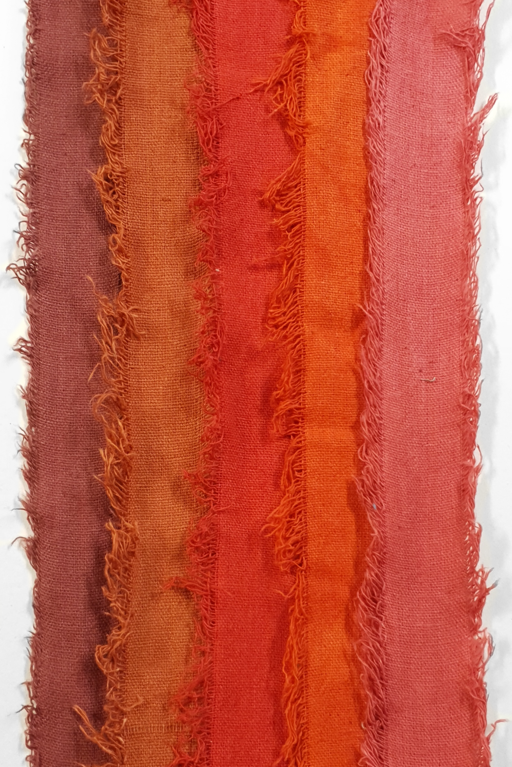 Assorted Cotton Cake Pack - 3018