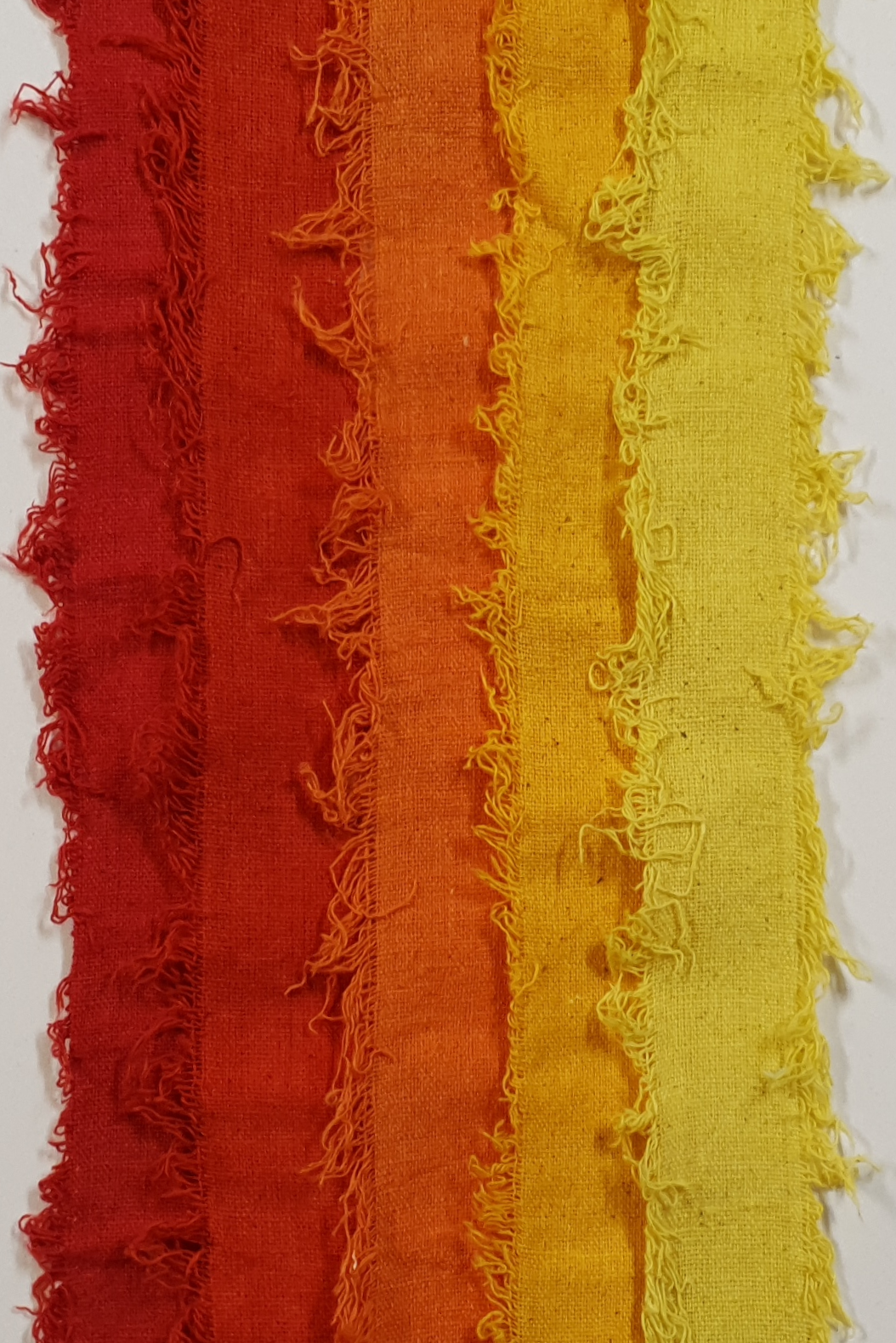 Assorted Cotton Cake Pack - 3020