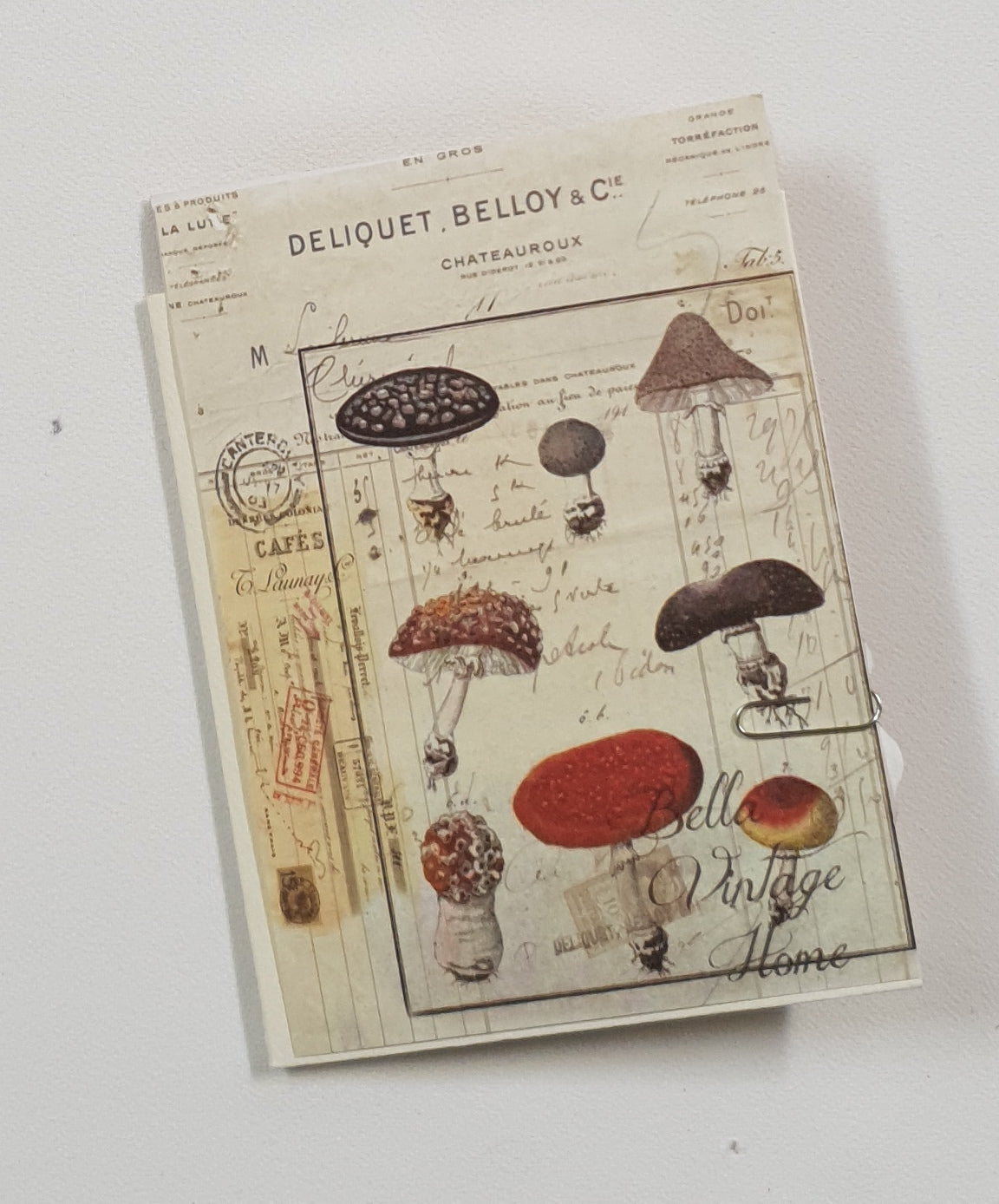 Motherloads Mushroom Ephemera Pack - BK - Selected at Random