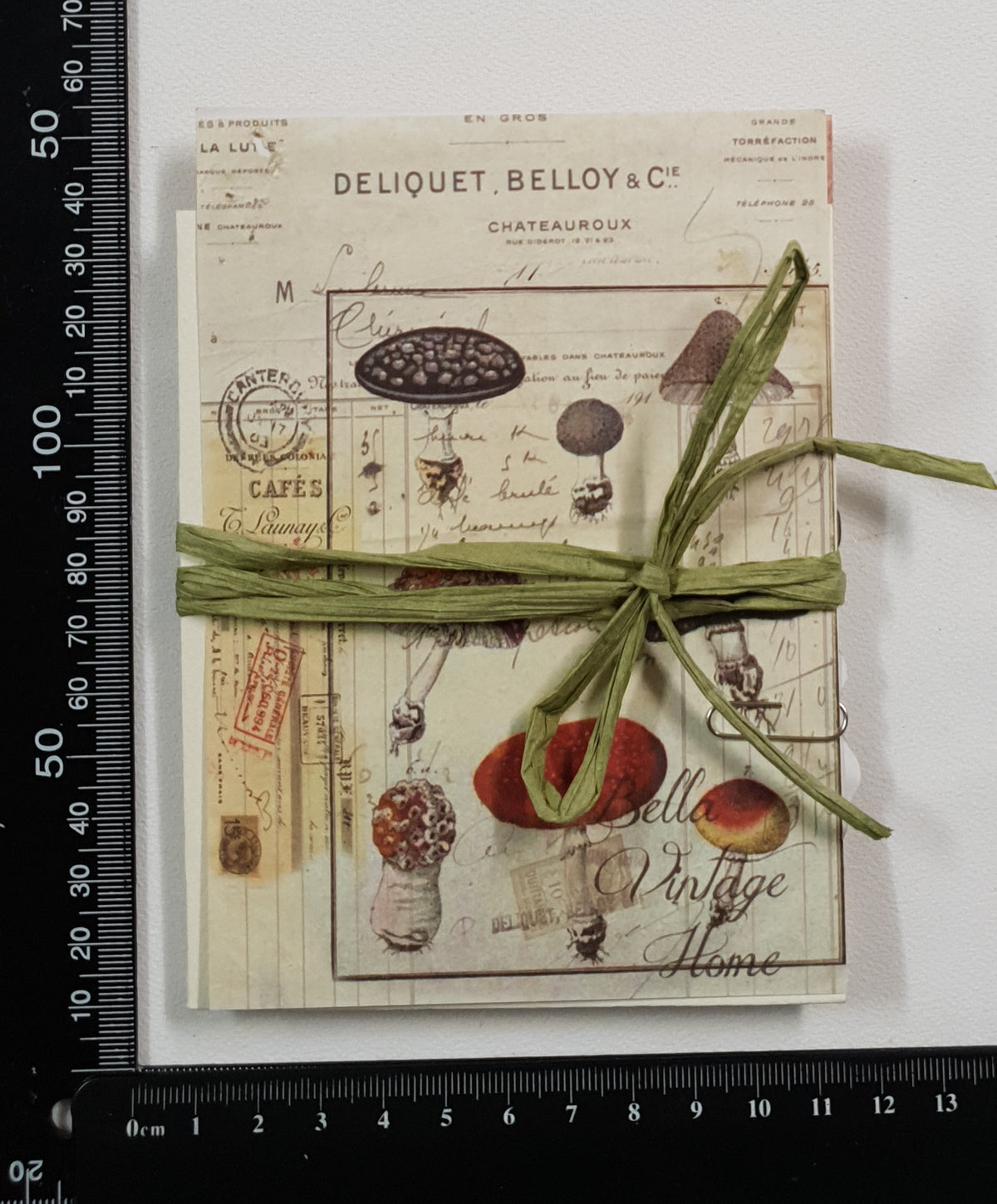 Motherloads Mushroom Ephemera Pack - BK - Selected at Random