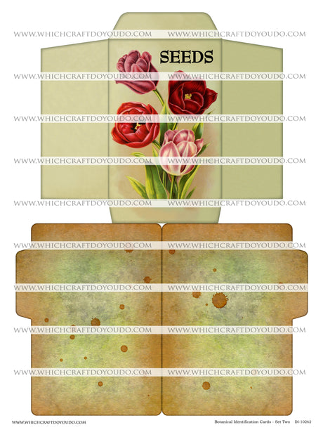 FREEBIE - Botanical Identification Cards - Set Two - DI-10262 - Digital Download