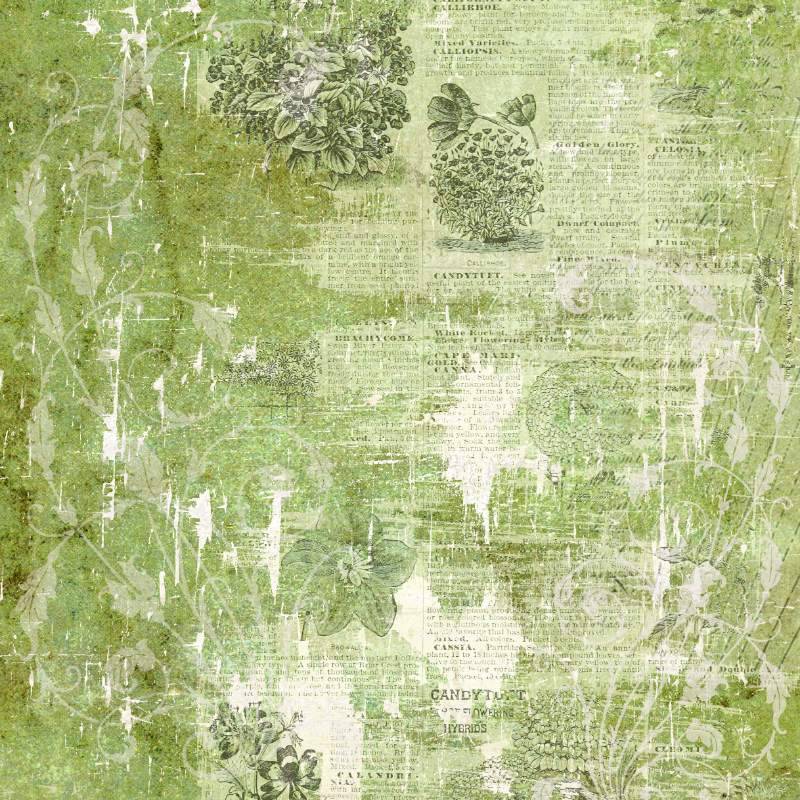 Creative Expressions - Sam Poole - Shabby Botanicals - 8 in x 8 in Paper Pad