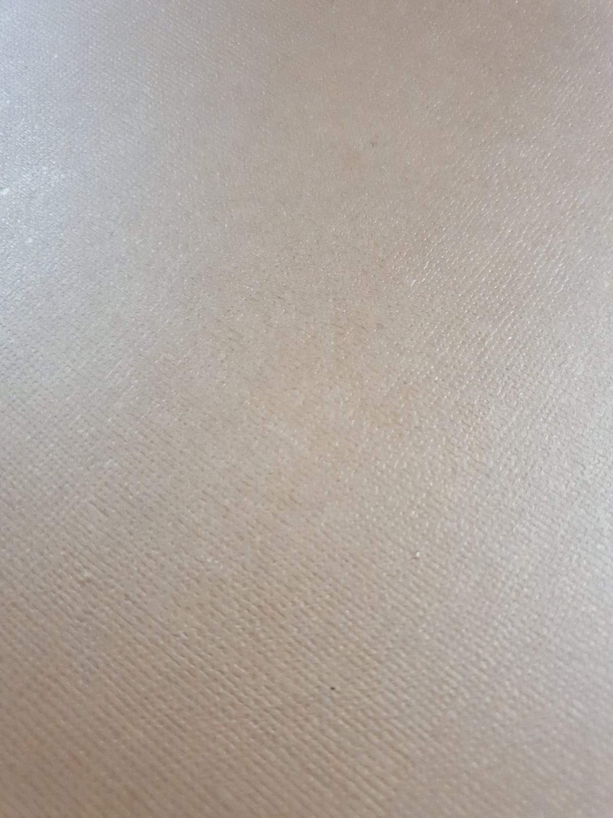 Card Stock - CE - Set of 20 Pieces