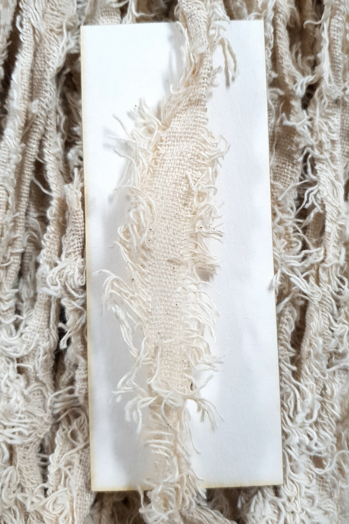 Cotton Frizz Ribbon - Creme - 2m Pack