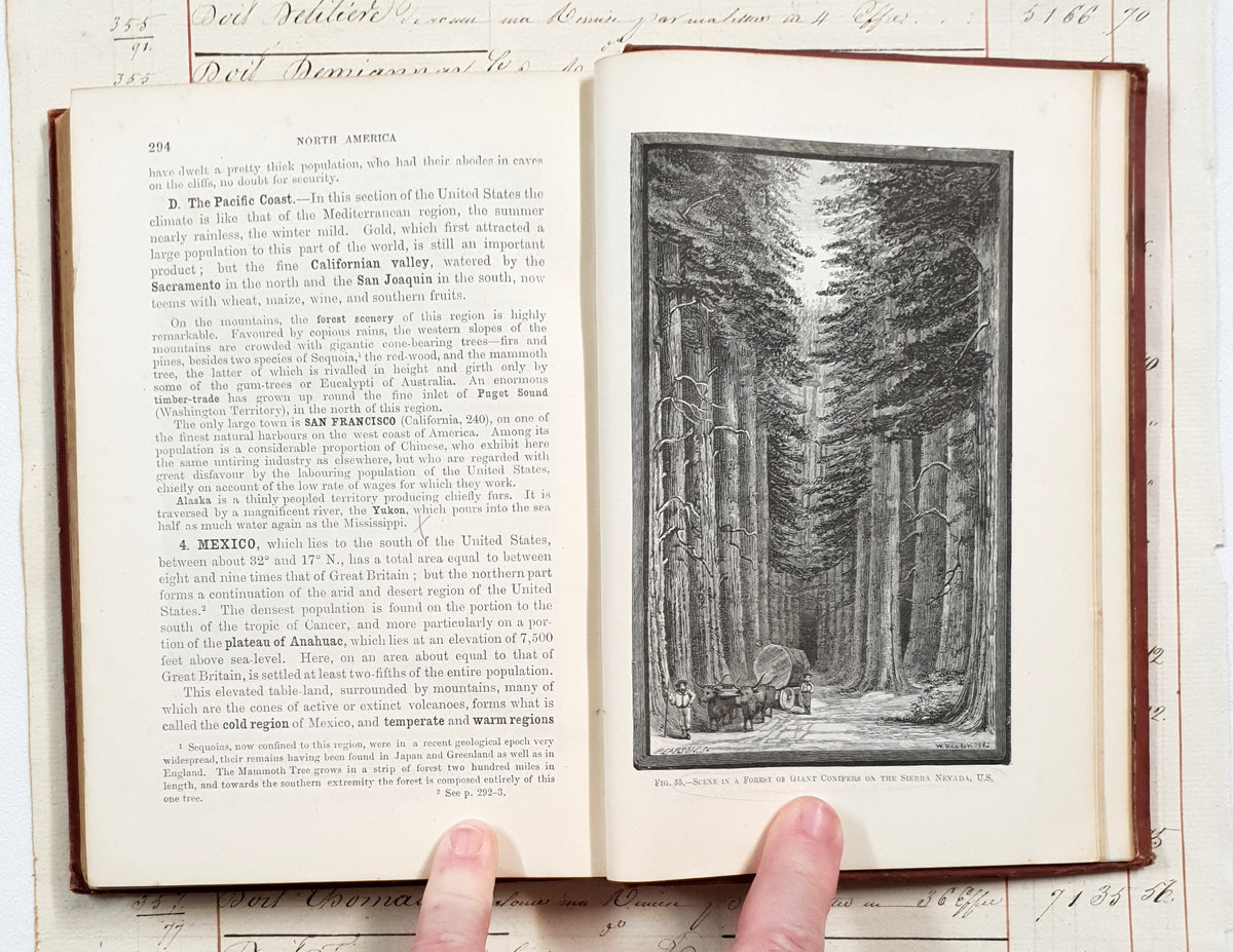 Authentic 1886 Victorian Book - DW