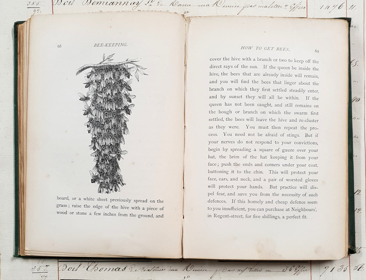 Antique 1864 Bee-Keeping Book – “The Times” Bee-Master – First Edition - DX