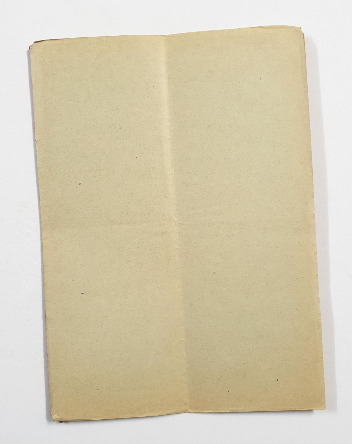 Authentic Antique French 1895 Notaire Document - EZ