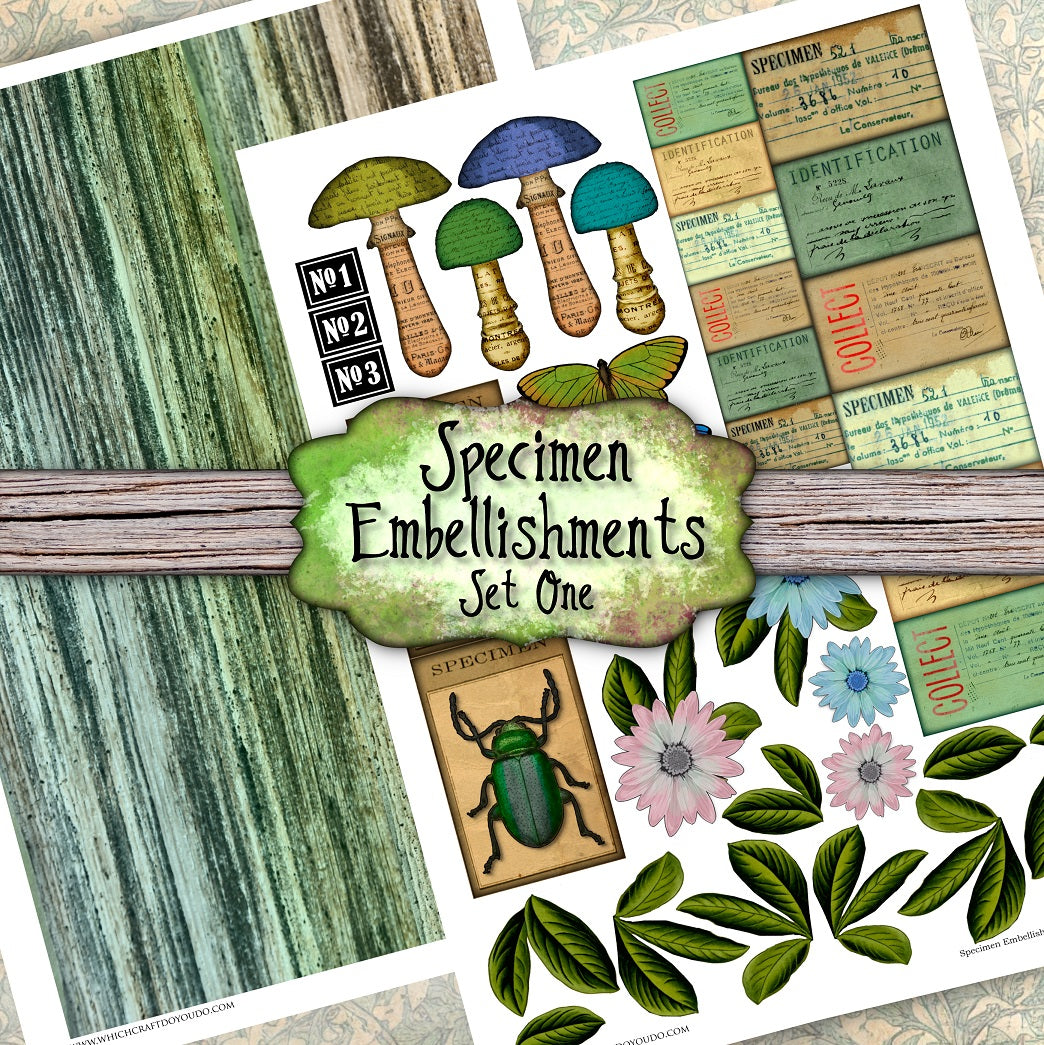 FREEBIE - Specimen Embellishments - Set One - DI-10243 - Digital Download