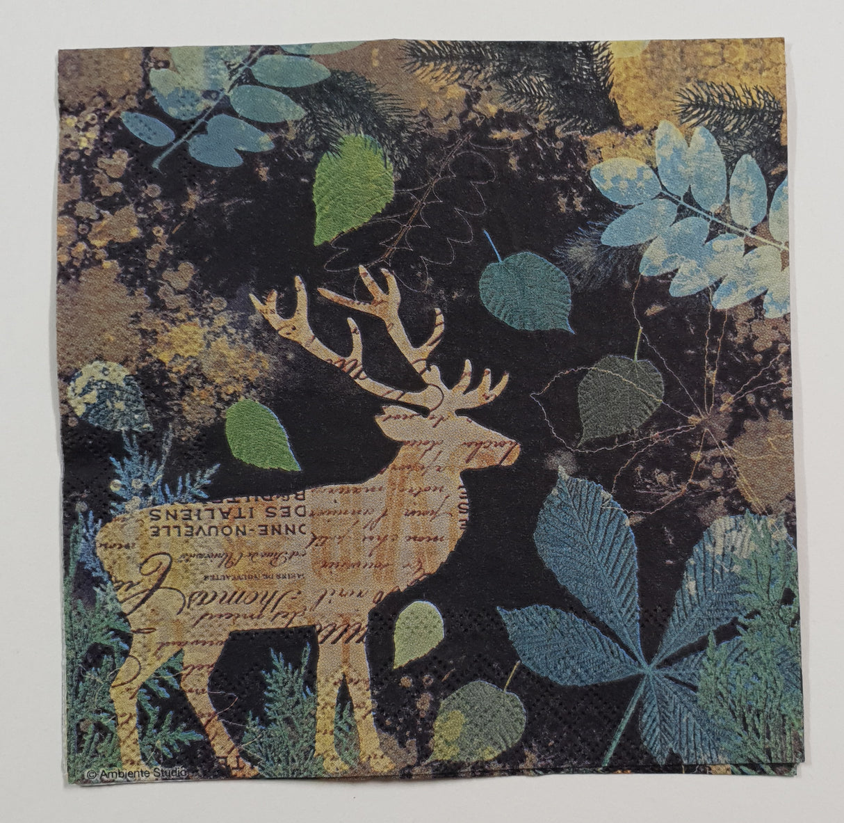 Inspiration Pack - PZ