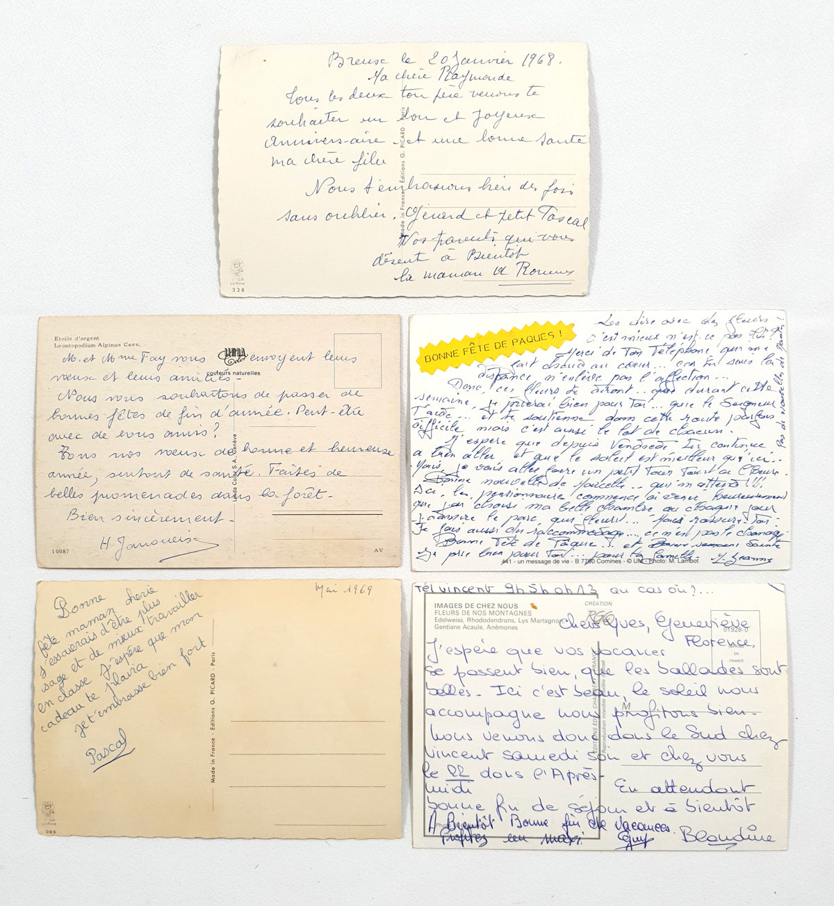 Authentic Vintage/Antique French Postcard - Set of 5 - KZ