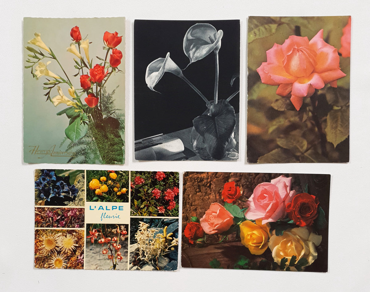 Authentic Vintage/Antique French Postcard - Set of 5 - LA