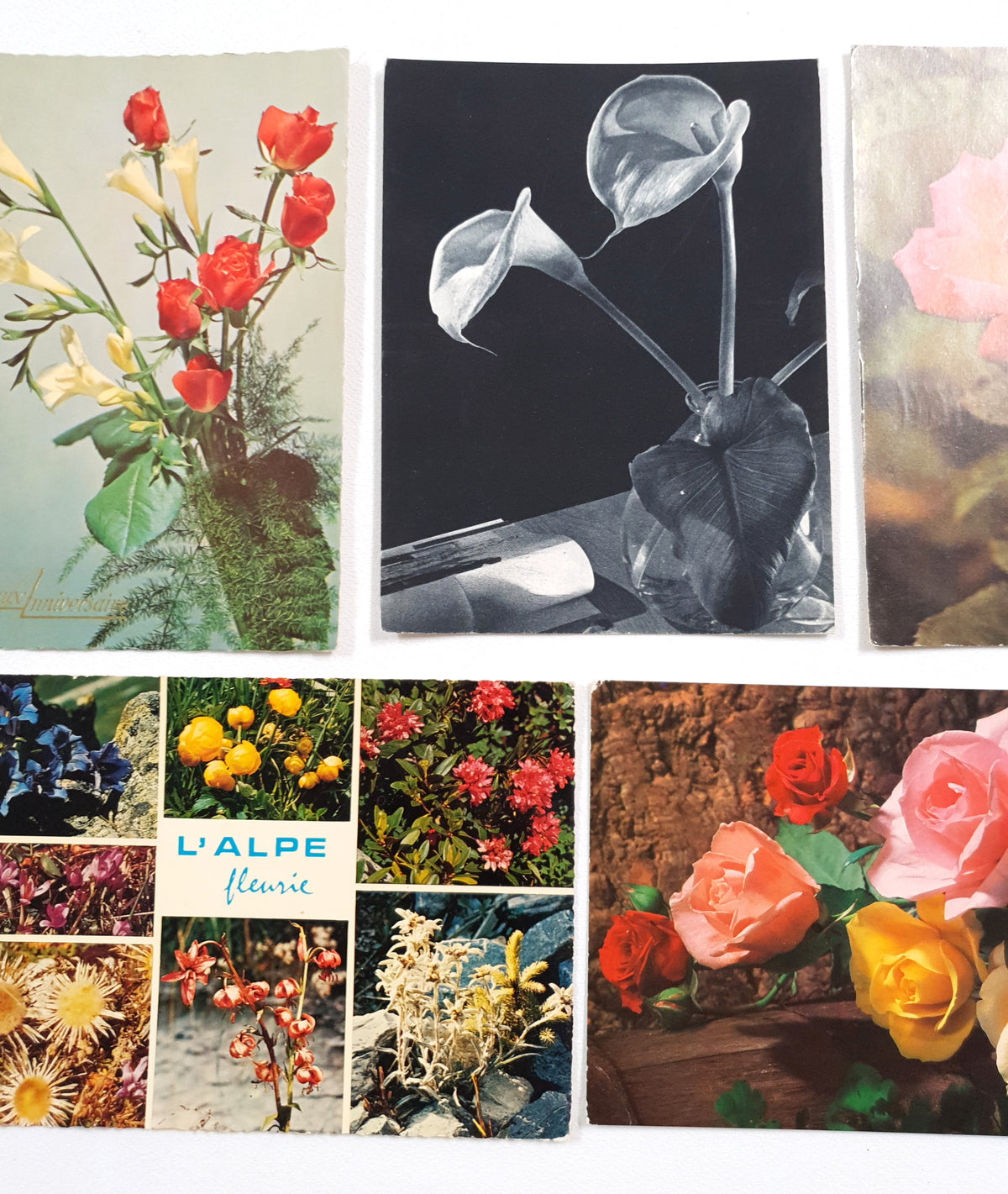 Authentic Vintage/Antique French Postcard - Set of 5 - LA