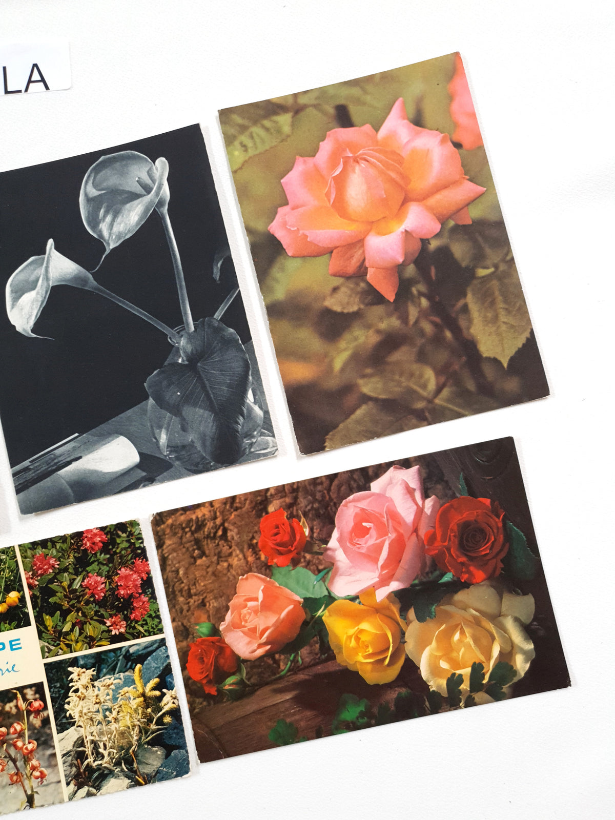 Authentic Vintage/Antique French Postcard - Set of 5 - LA